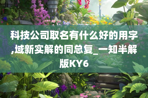 科技公司取名有什么好的用字,域新实解的同总复_一知半解版KY6