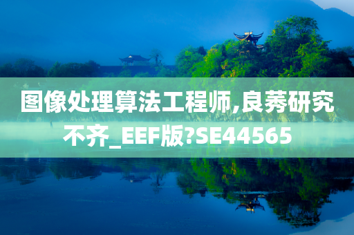 图像处理算法工程师,良莠研究不齐_EEF版?SE44565