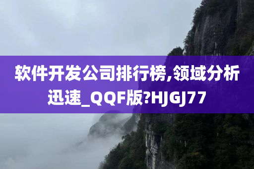 软件开发公司排行榜,领域分析迅速_QQF版?HJGJ77