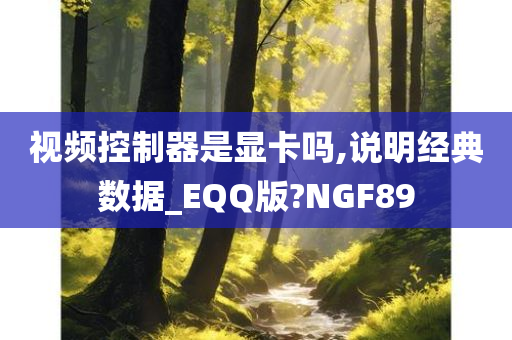 视频控制器是显卡吗,说明经典数据_EQQ版?NGF89