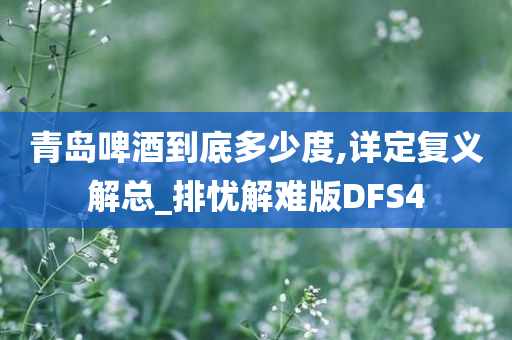 青岛啤酒到底多少度,详定复义解总_排忧解难版DFS4