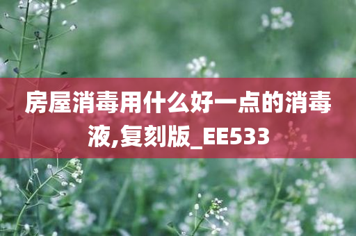 房屋消毒用什么好一点的消毒液,复刻版_EE533