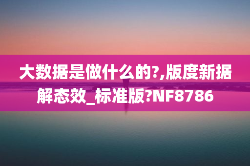 大数据是做什么的?,版度新据解态效_标准版?NF8786