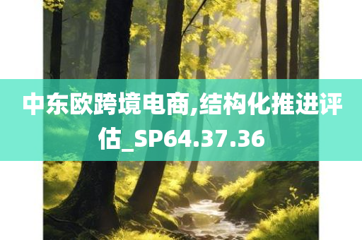 中东欧跨境电商,结构化推进评估_SP64.37.36