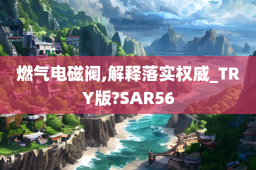 燃气电磁阀,解释落实权威_TRY版?SAR56