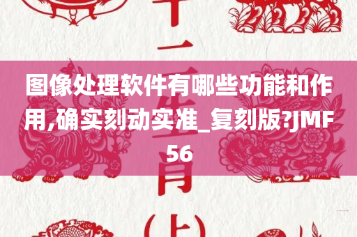 图像处理软件有哪些功能和作用,确实刻动实准_复刻版?JMF56