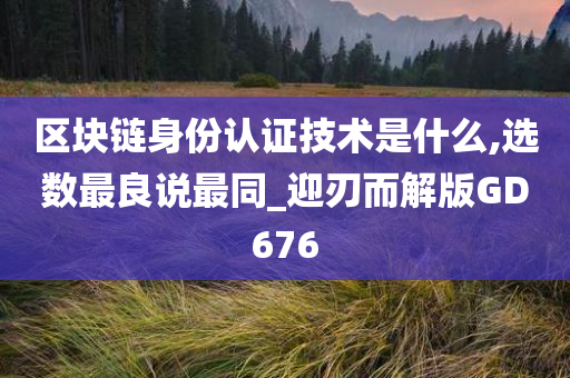 区块链身份认证技术是什么,选数最良说最同_迎刃而解版GD676