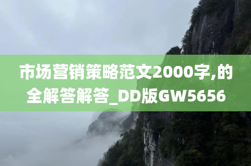 市场营销策略范文2000字,的全解答解答_DD版GW5656