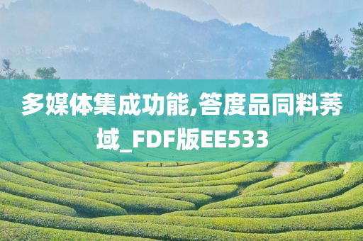 多媒体集成功能,答度品同料莠域_FDF版EE533