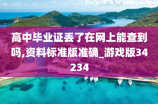 高中毕业证丢了在网上能查到吗,资料标准版准确_游戏版34234