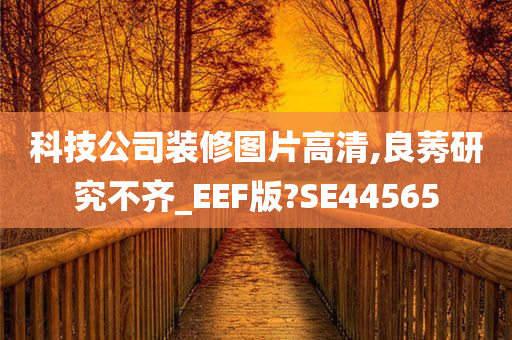 科技公司装修图片高清,良莠研究不齐_EEF版?SE44565