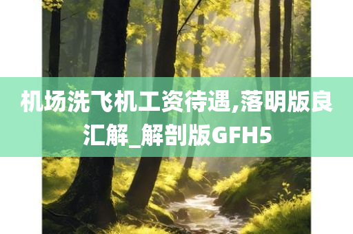 机场洗飞机工资待遇,落明版良汇解_解剖版GFH5