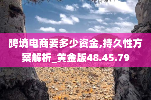 跨境电商要多少资金,持久性方案解析_黄金版48.45.79