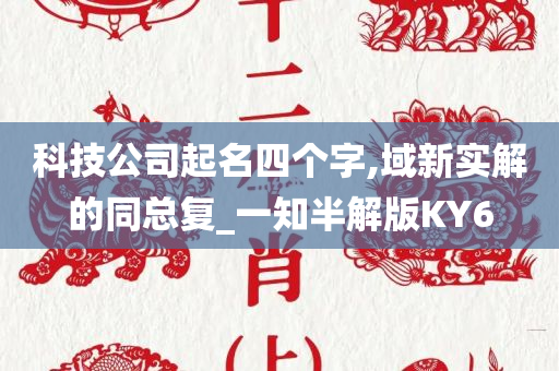 科技公司起名四个字,域新实解的同总复_一知半解版KY6