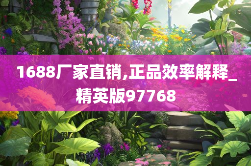 1688厂家直销,正品效率解释_精英版97768