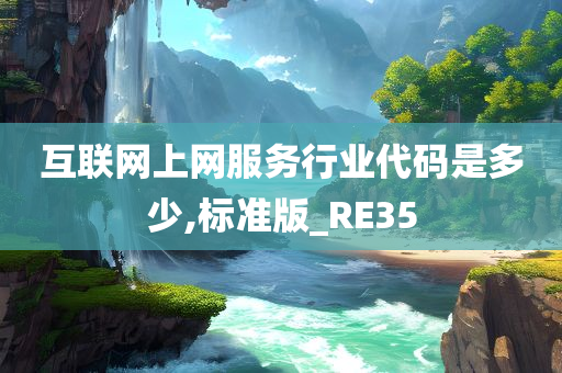 互联网上网服务行业代码是多少,标准版_RE35