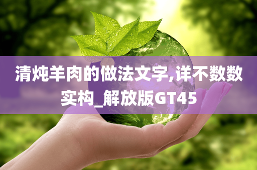 清炖羊肉的做法文字,详不数数实构_解放版GT45