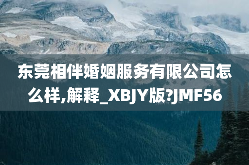 东莞相伴婚姻服务有限公司怎么样,解释_XBJY版?JMF56