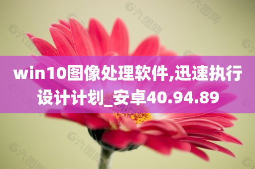 win10图像处理软件,迅速执行设计计划_安卓40.94.89