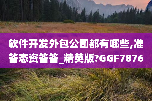 软件开发外包公司都有哪些,准答态资答答_精英版?GGF7876