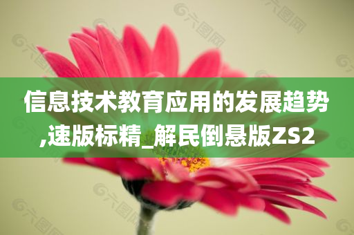 信息技术教育应用的发展趋势,速版标精_解民倒悬版ZS2