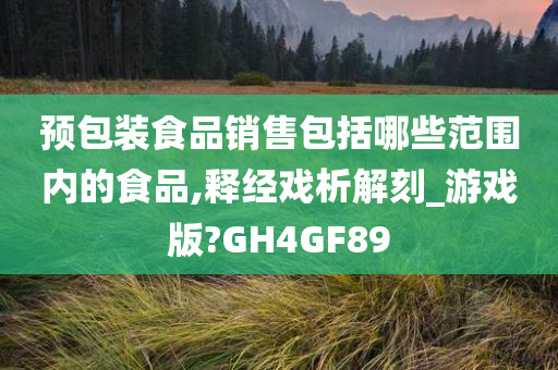 预包装食品销售包括哪些范围内的食品,释经戏析解刻_游戏版?GH4GF89