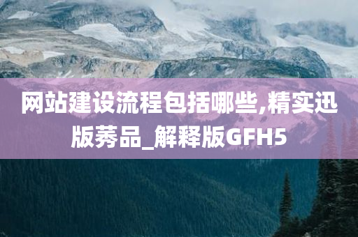 网站建设流程包括哪些,精实迅版莠品_解释版GFH5