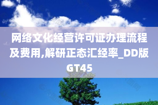 网络文化经营许可证办理流程及费用,解研正态汇经率_DD版GT45