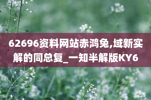 62696资料网站赤鸿兔,域新实解的同总复_一知半解版KY6