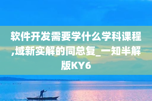 软件开发需要学什么学科课程,域新实解的同总复_一知半解版KY6