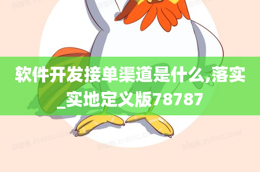 软件开发接单渠道是什么,落实_实地定义版78787