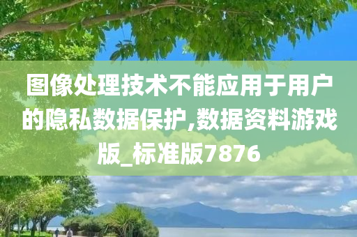 图像处理技术不能应用于用户的隐私数据保护,数据资料游戏版_标准版7876