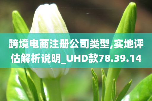 跨境电商注册公司类型,实地评估解析说明_UHD款78.39.14