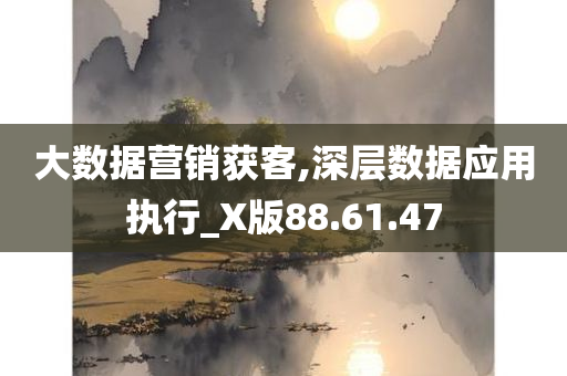 大数据营销获客,深层数据应用执行_X版88.61.47