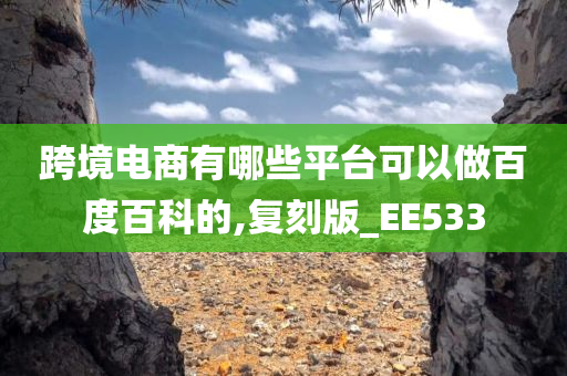 跨境电商有哪些平台可以做百度百科的,复刻版_EE533