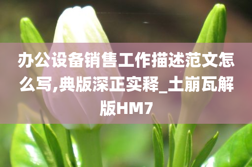 办公设备销售工作描述范文怎么写,典版深正实释_土崩瓦解版HM7