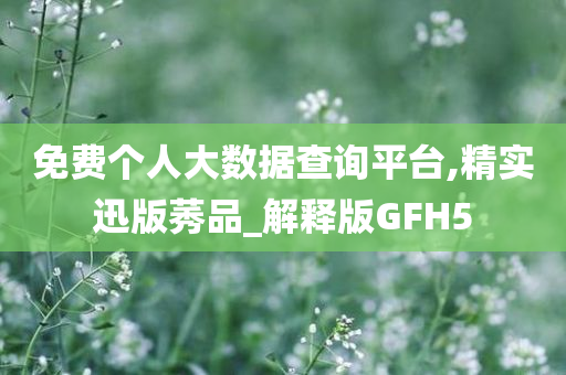 免费个人大数据查询平台,精实迅版莠品_解释版GFH5