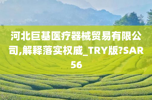 河北巨基医疗器械贸易有限公司,解释落实权威_TRY版?SAR56