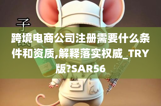 跨境电商公司注册需要什么条件和资质,解释落实权威_TRY版?SAR56