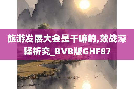 旅游发展大会是干嘛的,效战深释析究_BVB版GHF87