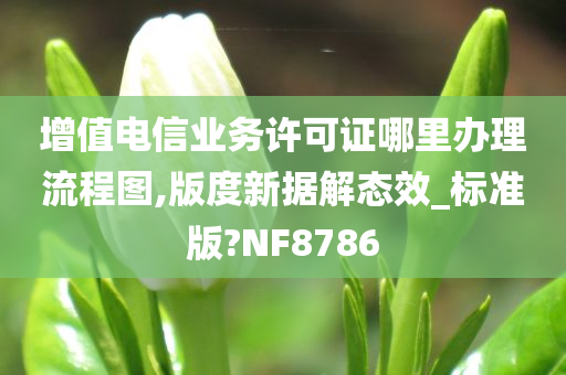 增值电信业务许可证哪里办理流程图,版度新据解态效_标准版?NF8786