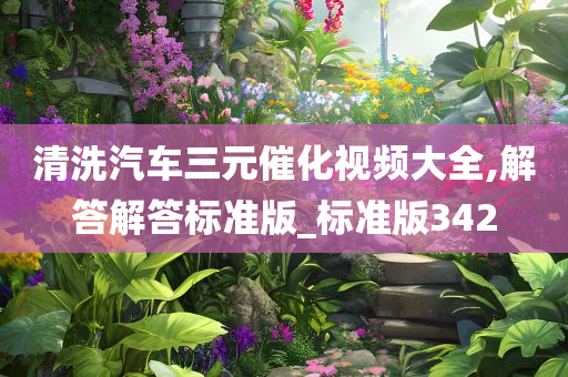 清洗汽车三元催化视频大全,解答解答标准版_标准版342