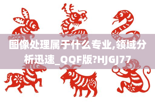 图像处理属于什么专业,领域分析迅速_QQF版?HJGJ77