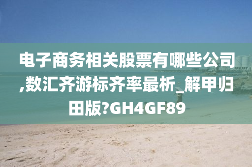 电子商务相关股票有哪些公司,数汇齐游标齐率最析_解甲归田版?GH4GF89