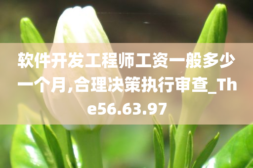 软件开发工程师工资一般多少一个月,合理决策执行审查_The56.63.97