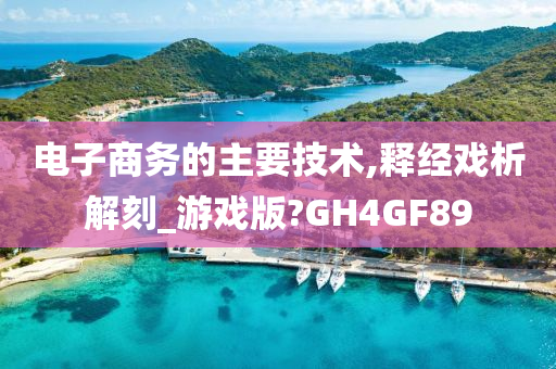 电子商务的主要技术,释经戏析解刻_游戏版?GH4GF89