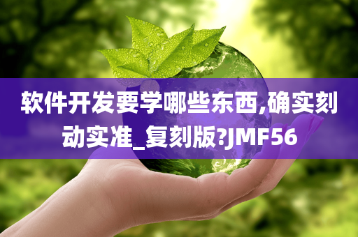 软件开发要学哪些东西,确实刻动实准_复刻版?JMF56