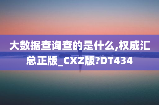 大数据查询查的是什么,权威汇总正版_CXZ版?DT434