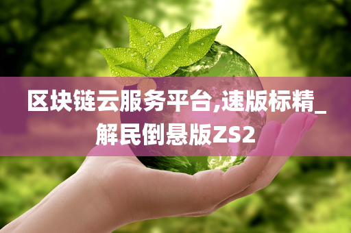 区块链云服务平台,速版标精_解民倒悬版ZS2