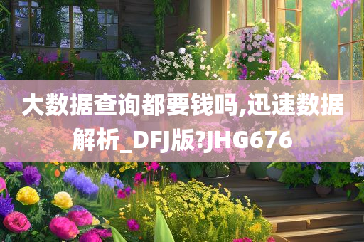 大数据查询都要钱吗,迅速数据解析_DFJ版?JHG676